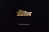 陶罐藏品圖，第1張